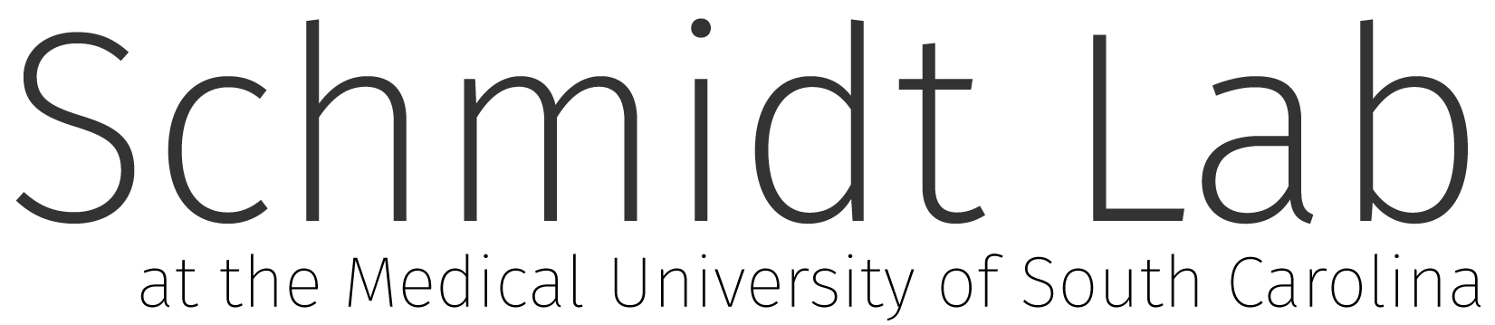 Logo Schmidt Lab at MUSC