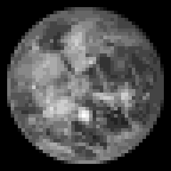 The same image reduced to 48 by 48 pixels, 4-bit grayscale