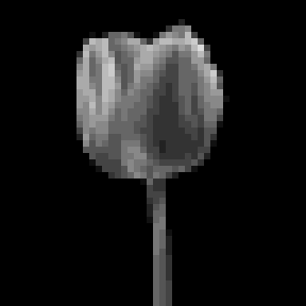 The same image reduced to 48 by 48 pixels, 4-bit grayscale