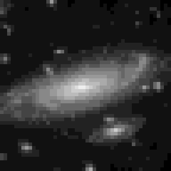 The same image reduced to 48 by 48 pixels, 4-bit grayscale
