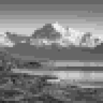 The same image reduced to 48 by 48 pixels, 4-bit grayscale