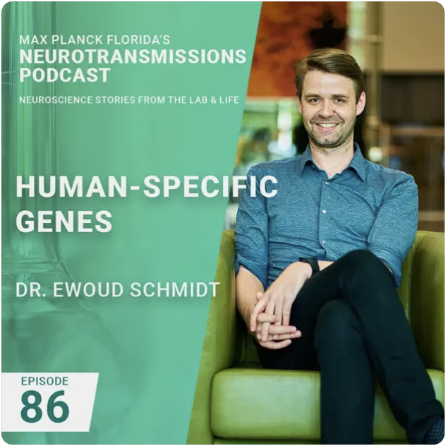Ewoud joined for an episode of the MPFI Neurotransmissions podcast